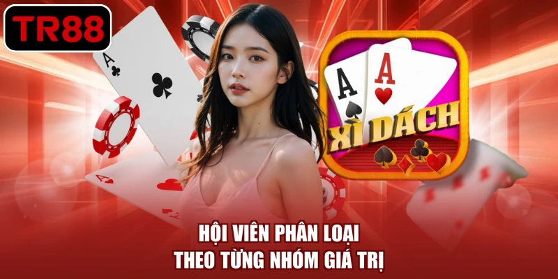 Hội viên phân loại theo từng nhóm giá trị