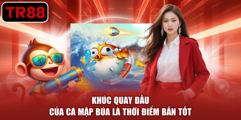 Khúc quay đầu của cá mập búa là thời điểm bắn tốt