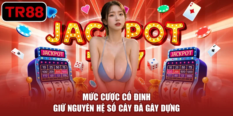 Mức cược cố định giữ nguyên hệ số cây đã gây dựng