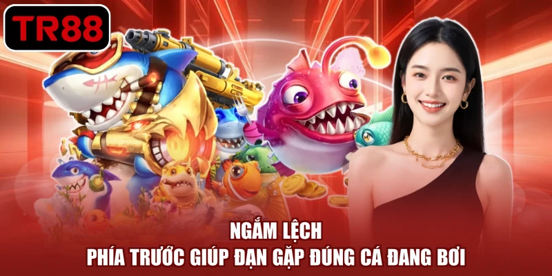 Ngắm lệch phía trước giúp đạn gặp đúng cá đang bơi