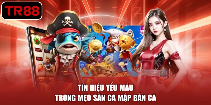 Tín hiệu yếu máu trong mẹo săn cá mập bắn cá