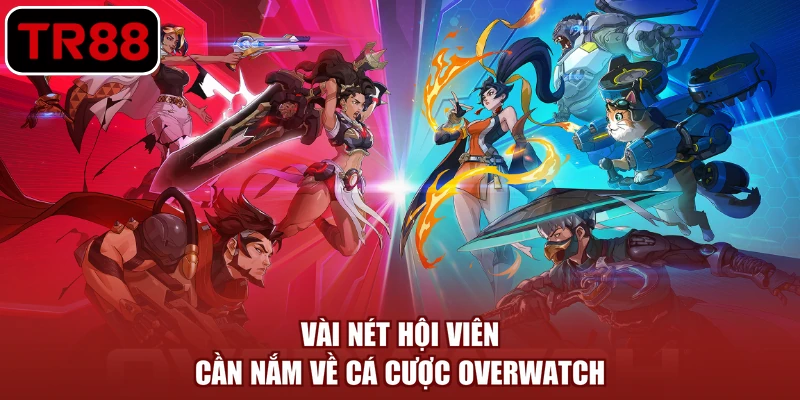 Vài nét hội viên cần nắm về cá cược Overwatch